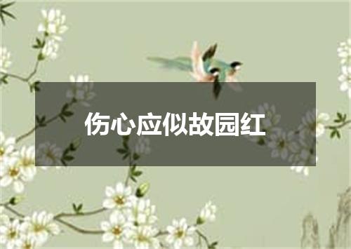 伤心应似故园红