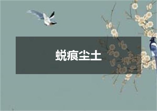 蜕痕尘土