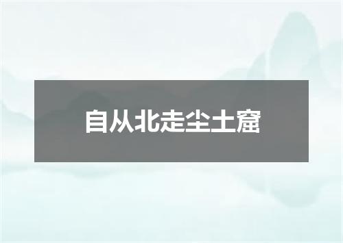 自从北走尘土窟