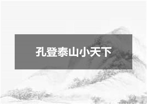 孔登泰山小天下