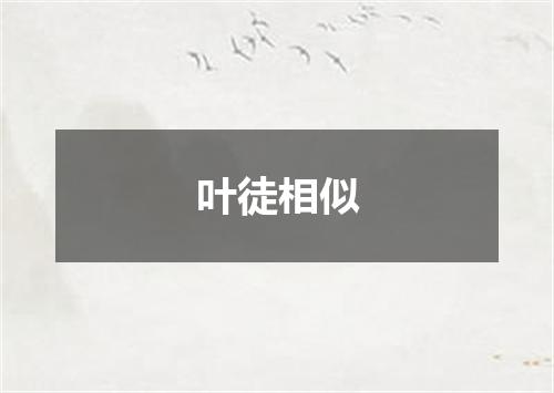 叶徒相似