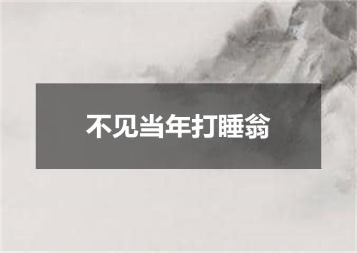 不见当年打睡翁