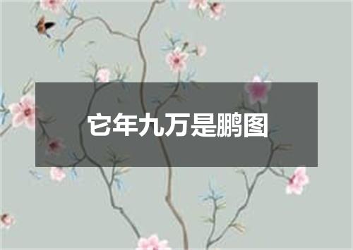 它年九万是鹏图