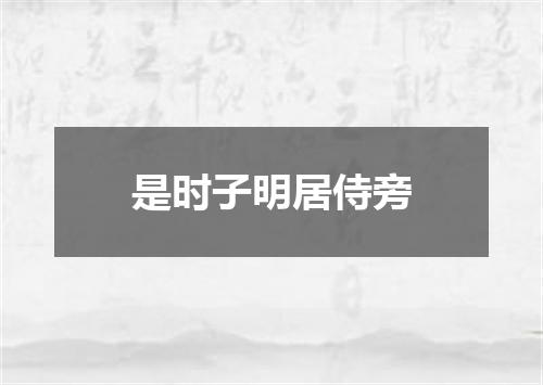 是时子明居侍旁