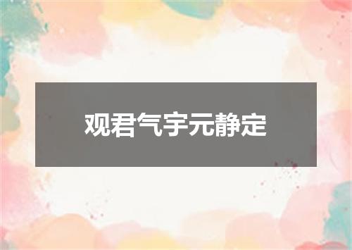 观君气宇元静定