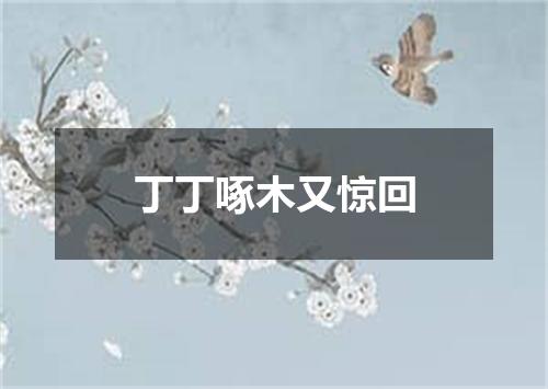 丁丁啄木又惊回