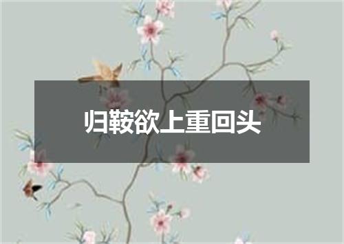 归鞍欲上重回头
