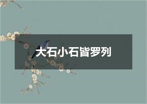 大石小石皆罗列