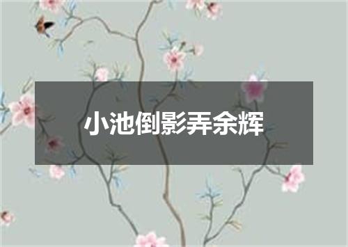 小池倒影弄余辉