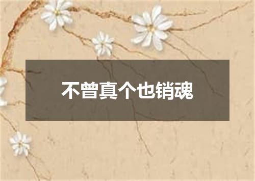 不曾真个也销魂