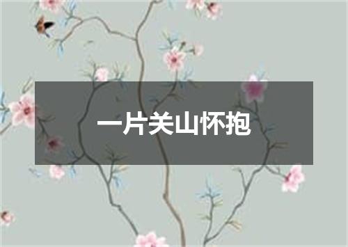 一片关山怀抱
