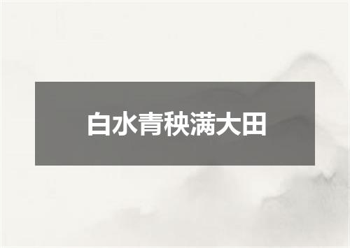 白水青秧满大田