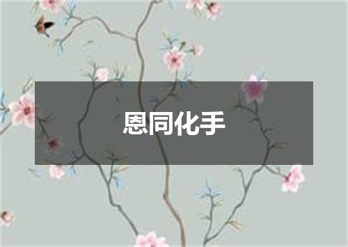 恩同化手