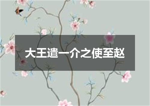大王遣一介之使至赵