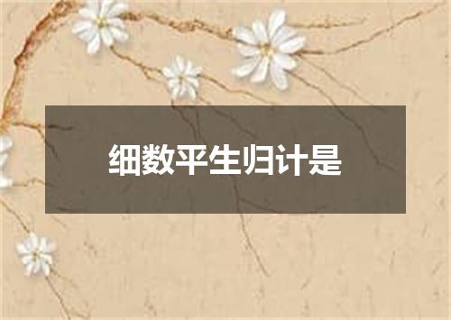 细数平生归计是