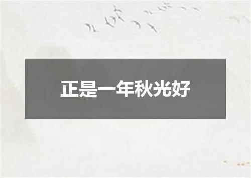 正是一年秋光好