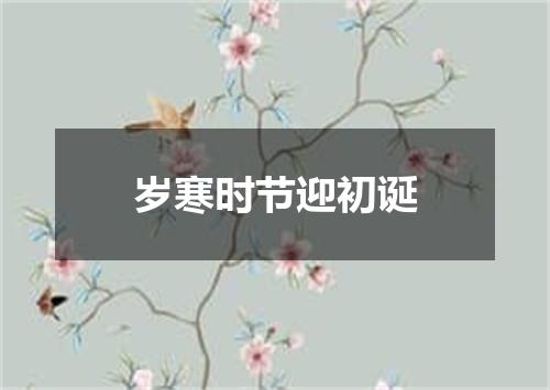 岁寒时节迎初诞