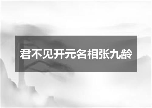 君不见开元名相张九龄
