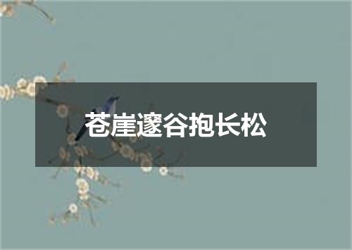 苍崖邃谷抱长松