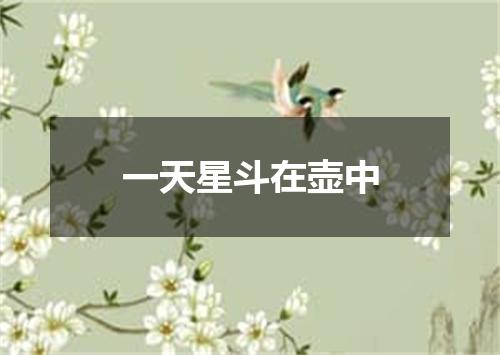 一天星斗在壶中