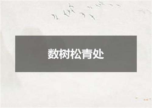 数树松青处