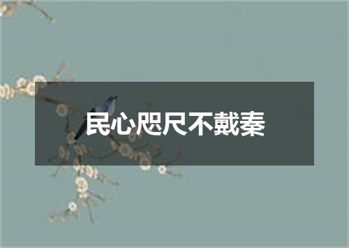 民心咫尺不戴秦
