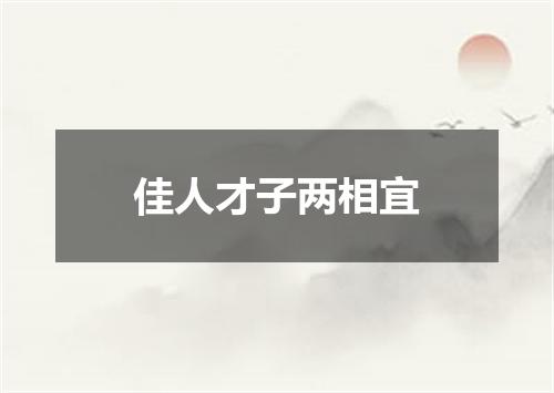 佳人才子两相宜
