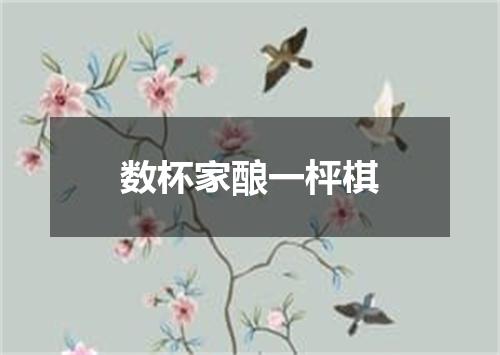 数杯家酿一枰棋