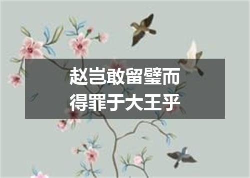 赵岂敢留璧而得罪于大王乎