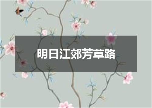 明日江郊芳草路