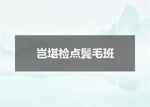 岂堪检点鬓毛班