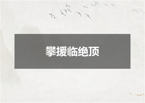 攀援临绝顶