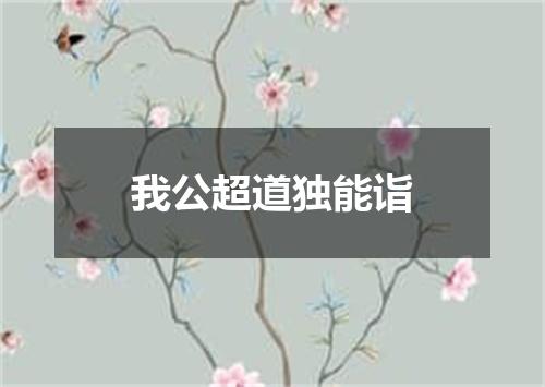 我公超道独能诣