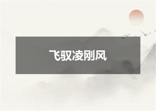 飞驭凌刚风