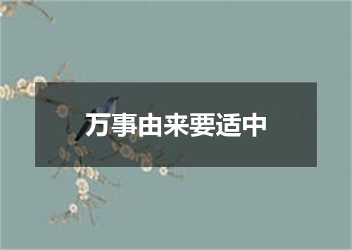 万事由来要适中