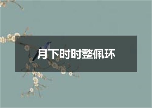 月下时时整佩环
