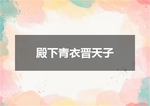 殿下青衣晋天子