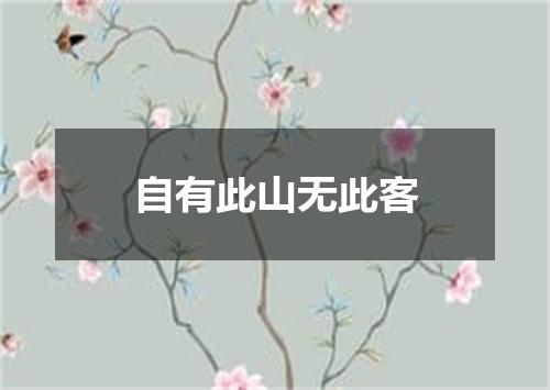 自有此山无此客