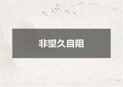 非望久自阻