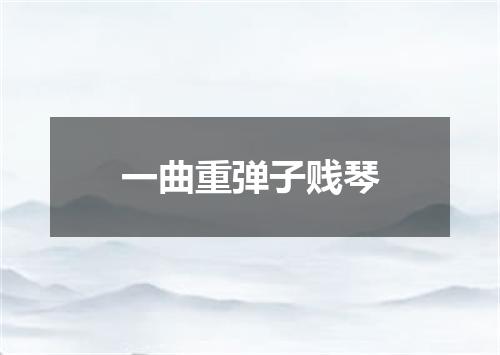 一曲重弹子贱琴