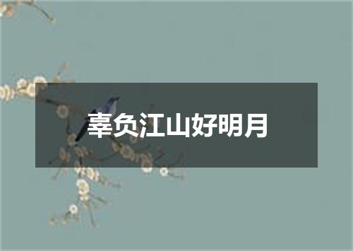 辜负江山好明月