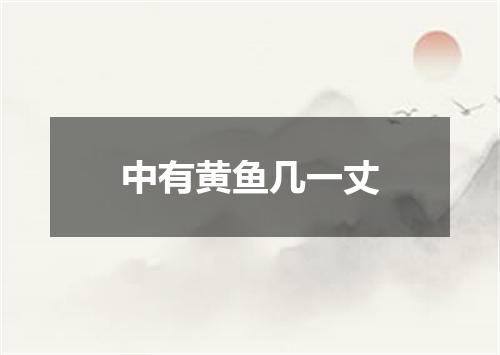 中有黄鱼几一丈