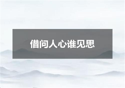 借问人心谁见思
