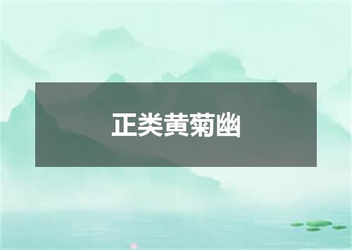 正类黄菊幽