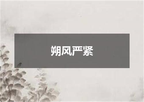 朔风严紧
