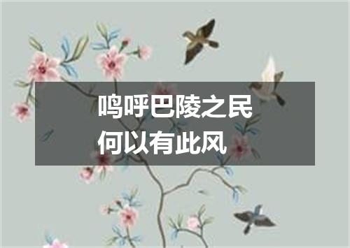 鸣呼巴陵之民何以有此风