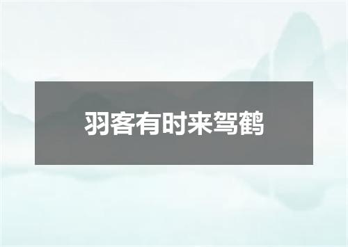 羽客有时来驾鹤