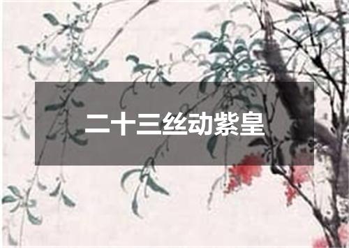 二十三丝动紫皇