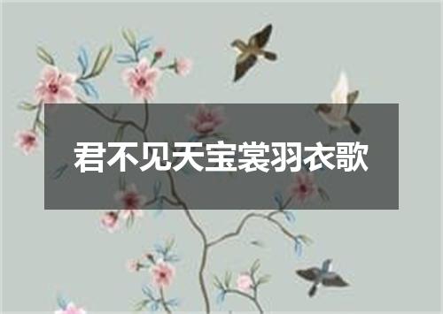 君不见天宝裳羽衣歌