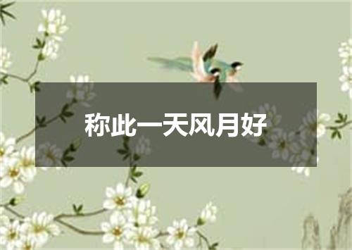 称此一天风月好
